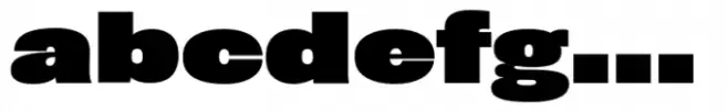 Rhode Std Black Wide