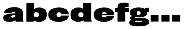Rhode Std Bold Wide