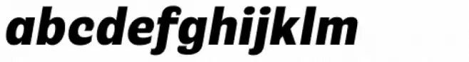 Riccia Heavy Italic