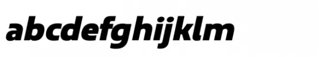 Ridtype Pro Black Oblique