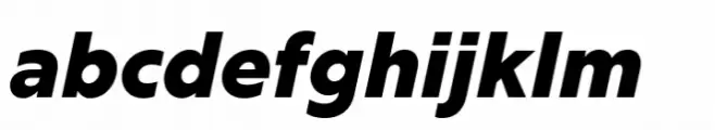 Rig Sans Black Italic