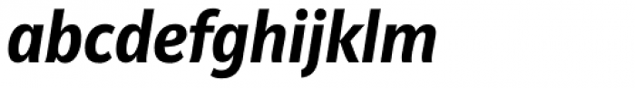 Riga Bold Italic