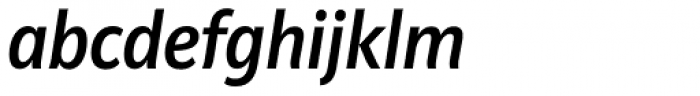Riga Medium Italic