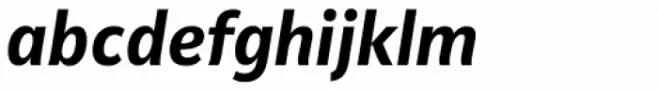 Riga Screen Bold Italic