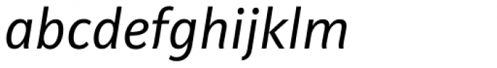 Riga Screen Italic