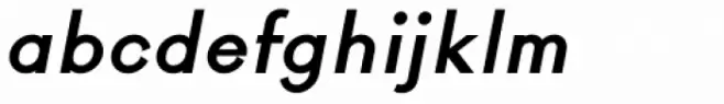 Rigidica Bold Oblique
