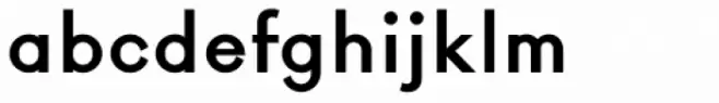Rigidica Bold