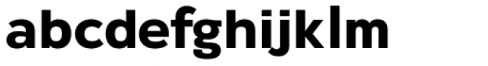 Rigo Bold