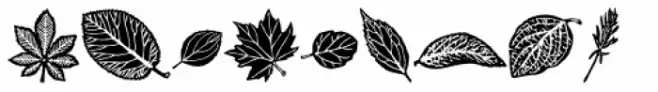 Riipale Leaf