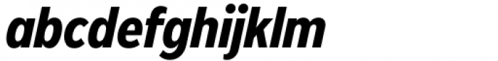 Rilo Bold Italic