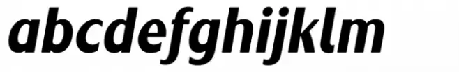 Risa Bold Italic