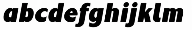 Risa Heavy Italic