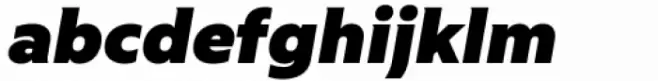 Riveta Black Italic