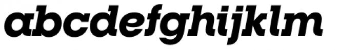 RNS Camelia Black Italic