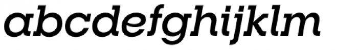 RNS Camelia Bold Italic
