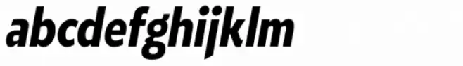 Roanne Condensed Bold Italic