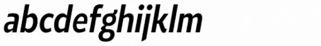Roanne Condensed Medium Italic