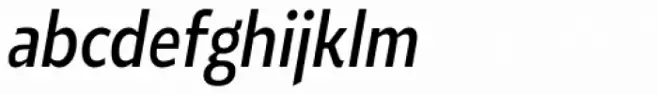 Roanne Condensed Regular Italic