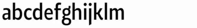 Roanne Condensed Regular