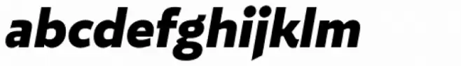 Roanne Heavy Italic