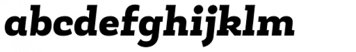 Roble Alt Black Italic