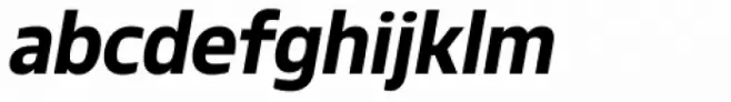 Robusta Bold Italic