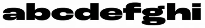 Roc Grotesk Extra Wide Black