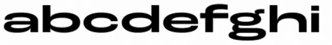 Roc Grotesk Extra Wide Bold