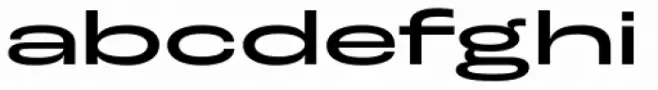 Roc Grotesk Extra Wide Medium