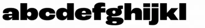 Roc Grotesk Wide Black