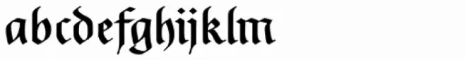 Rockner Medium