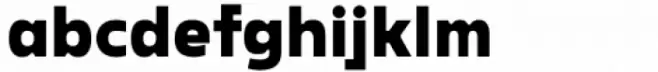 Rohyt Geometric Bold