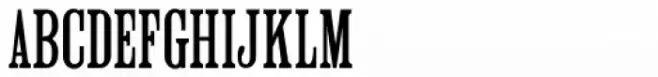 Roman Wood Type JNL