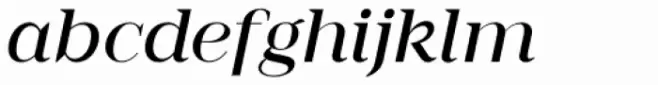 Romina book italic