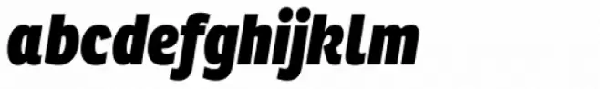 Ronnia Cond Heavy Italic