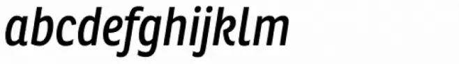 Ronnia Cond Italic