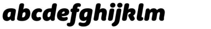 Rooney Sans Black Italic
