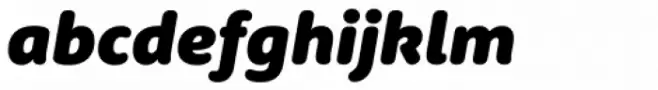 Rooney Sans Black Italic