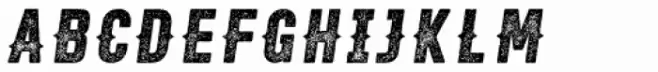 Roper Press Heavy Italic