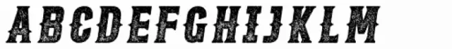 Roper Serif Press Heavy Italic