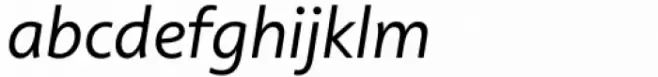 Rosales Book Italic