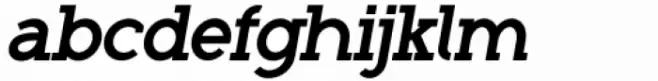 Roseau Slab Bold Oblique