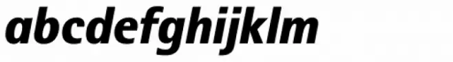 Rotis II Sans Std Black Italic