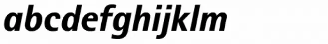 Rotis II Sans Std Extra Bold Italic
