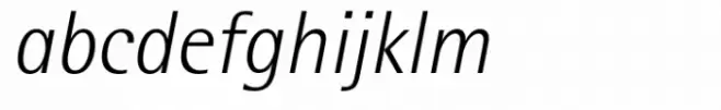 Rotis Semi Sans Paneuropean 46 Light Italic