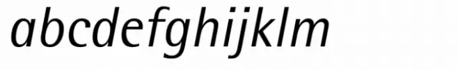 Rotis Semi Sans Paneuropean 56 Italic