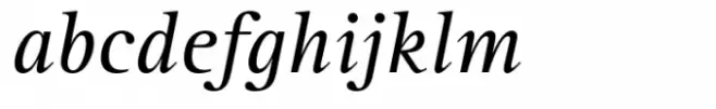 Rotis Serif Paneuropean 56 Italic