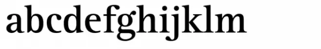 Rotis Serif Paneuropean 65 Bold