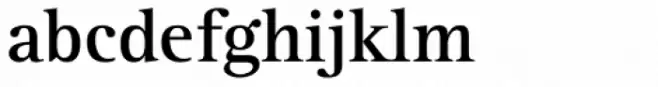 Rotis Serif Std 65 Bold