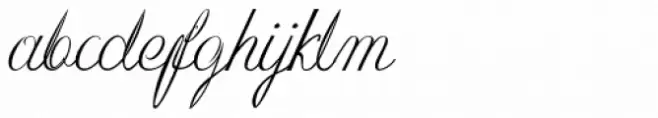 Roto Script